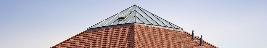 Hakvoort-daglicht-piramide-boomstam-restaurant-hardenberg